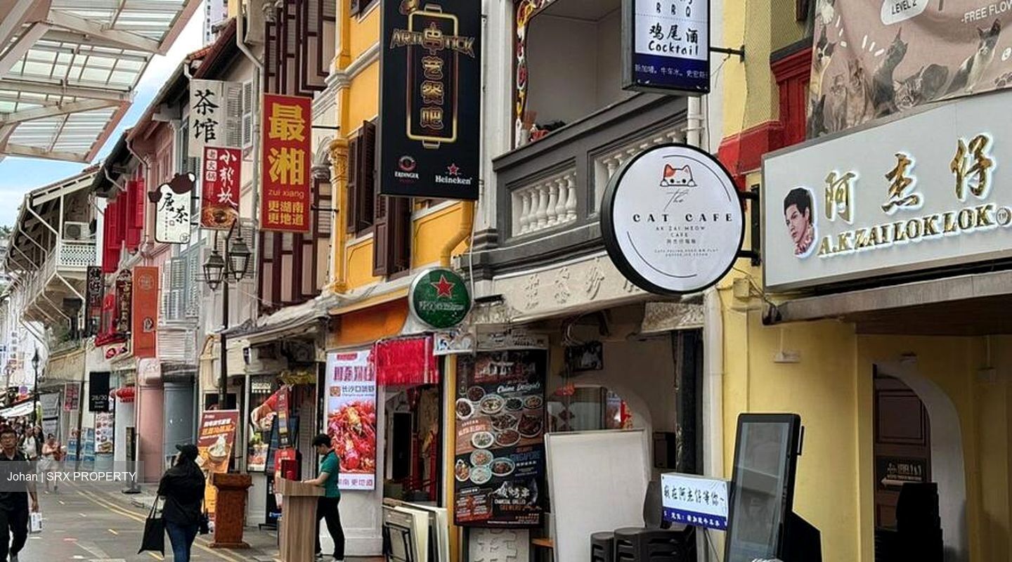 CHINATOWN MRT STATION (DT19) (D1), Shop House #514654731